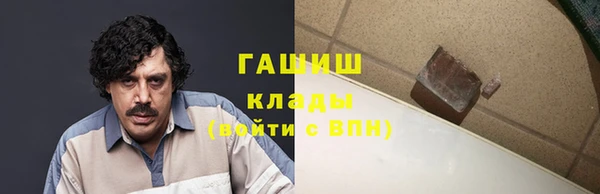 гашик Козельск