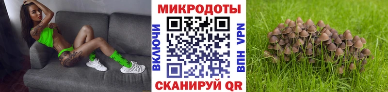 Галлюциногенные грибы мухоморы  Купить  Невьянск 